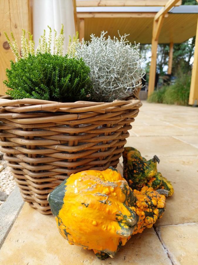 Villa Quality Wellness Dozmat Dış mekan fotoğraf